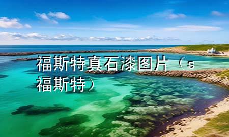 福斯特真石漆图片（s福斯特）