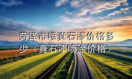 菏泽市喷真石漆价格多少（真石漆喷涂价格）