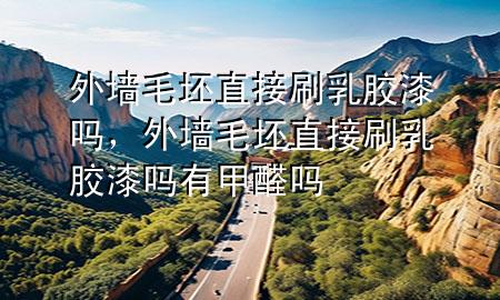 外墙毛坯直接刷乳胶漆吗，外墙毛坯直接刷乳胶漆吗有甲醛吗