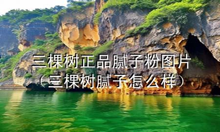 三棵树正品腻子粉图片（三棵树腻子怎么样）