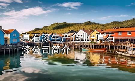 真石漆生产企业-真石漆公司简介