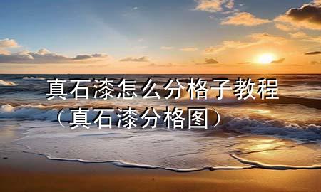 真石漆怎么分格子教程（真石漆分格图）