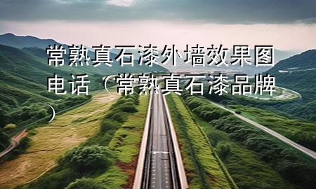 常熟真石漆外墙效果图电话（常熟真石漆品牌）