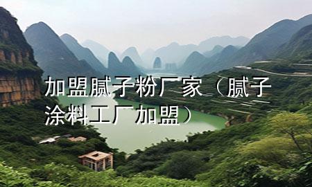 加盟腻子粉厂家（腻子涂料工厂加盟）