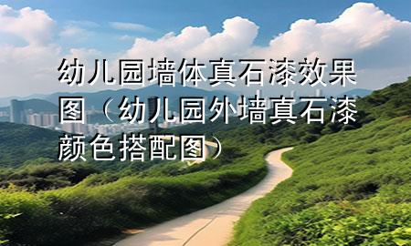 幼儿园墙体真石漆效果图（幼儿园外墙真石漆颜色搭配图）