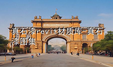 真石漆revit材质库-真石漆图集