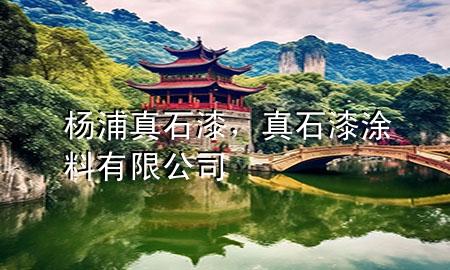 杨浦真石漆，真石漆涂料有限公司