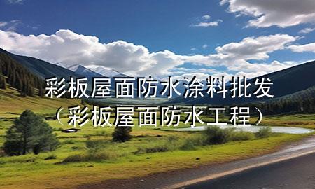 彩板屋面防水涂料批发（彩板屋面防水工程）