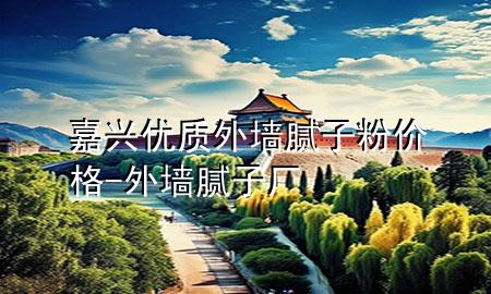 嘉兴优质外墙腻子粉价格-外墙腻子厂