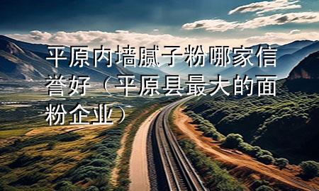 平原内墙腻子粉哪家信誉好（平原县最大的面粉企业）