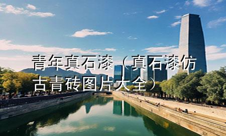 青年真石漆（真石漆仿古青砖图片大全）