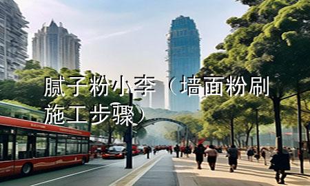 腻子粉小李（墙面粉刷施工步骤）