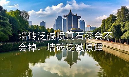 墙砖泛碱喷真石漆会不会掉，墙砖泛碱原理