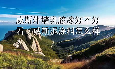 威斯外墙乳胶漆好不好看（威斯泥涂料怎么样）