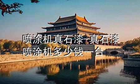 喷涂机 真石漆-真石漆喷涂机多少钱一台