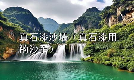 真石漆沙墙（真石漆用的沙子）