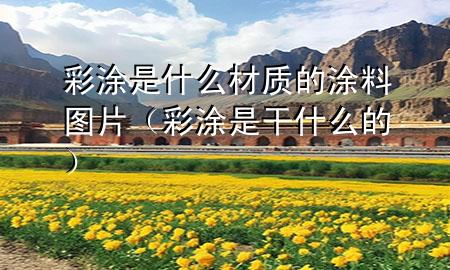 彩涂是什么材质的涂料图片（彩涂是干什么的）