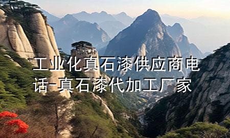 工业化真石漆供应商电话-真石漆代加工厂家