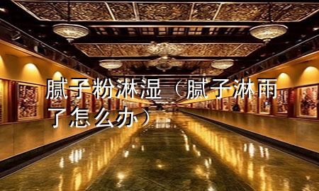 腻子粉淋湿（腻子淋雨了怎么办）