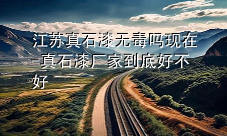 江苏真石漆无毒吗现在-真石漆厂家到底好不好