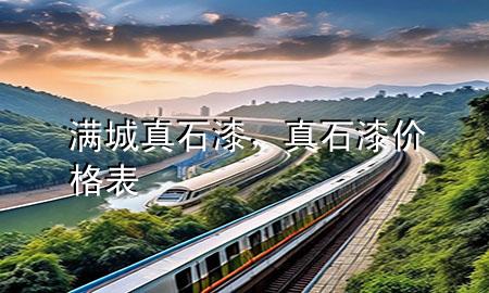 满城真石漆，真石漆价格表