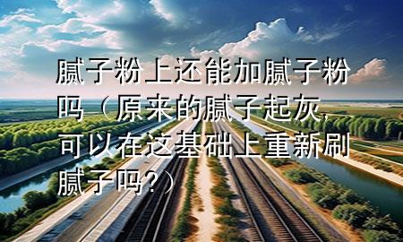 腻子粉上还能加腻子粉吗（原来的腻子起灰,可以在这基础上重新刷腻子吗?）