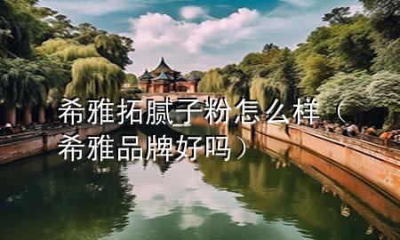 希雅拓腻子粉怎么样（希雅品牌好吗）