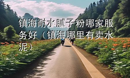 镇海耐水腻子粉哪家服务好（镇海哪里有卖水泥）