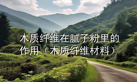 木质纤维在腻子粉里的作用（木质纤维材料）
