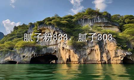 腻子粉833，腻子 303