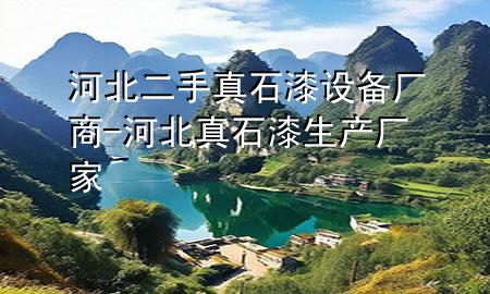 河北二手真石漆设备厂商-河北真石漆生产厂家