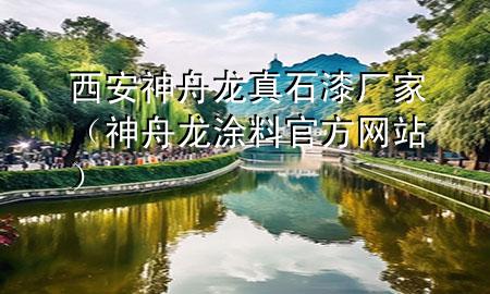 西安神舟龙真石漆厂家（神舟龙涂料官方网站）