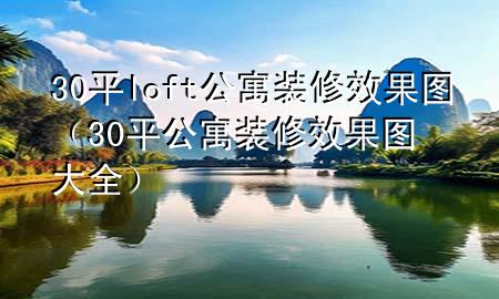 30平loft公寓装修效果图（30平公寓装修效果图大全）