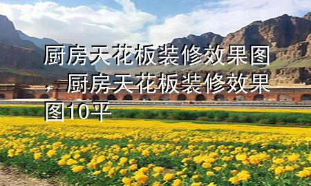 厨房天花板装修效果图，厨房天花板装修效果图10平