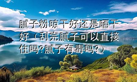 腻子粉晾干好还是晒干好（刮完腻子可以直接住吗?腻子有毒吗?）