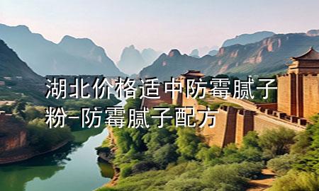 湖北价格适中防霉腻子粉-防霉腻子配方
