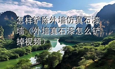 怎样铲除外墙仿真石漆墙（外墙真石漆怎么铲掉视频）