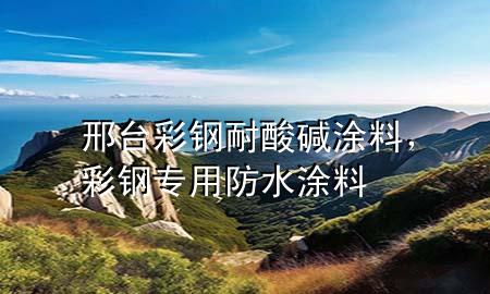 邢台彩钢耐酸碱涂料，彩钢专用防水涂料