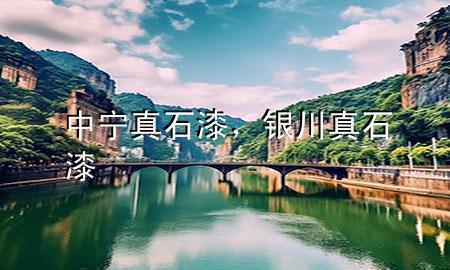 中宁真石漆，银川真石漆