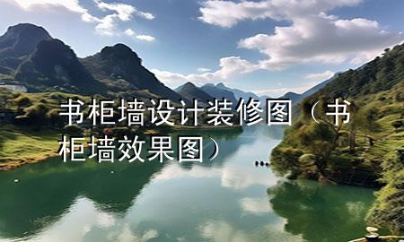 书柜墙设计装修图（书柜墙效果图）