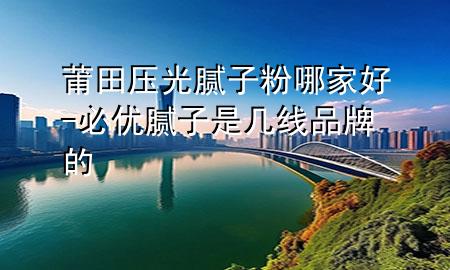 莆田压光腻子粉哪家好-必优腻子是几线品牌的