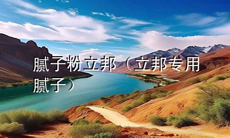 腻子粉 立邦（立邦专用腻子）