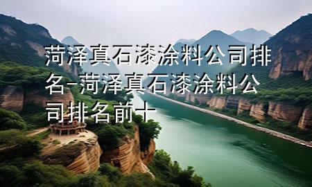 菏泽真石漆涂料公司排名-菏泽真石漆涂料公司排名前十