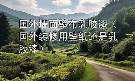 国外墙面壁布乳胶漆（国外装修用壁纸还是乳胶漆）