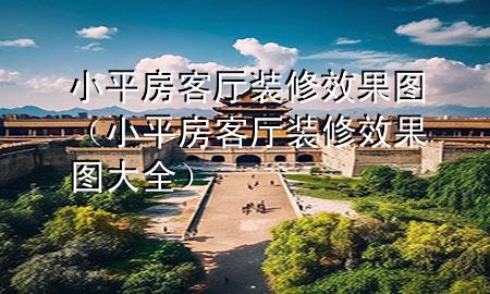 小平房客厅装修效果图（小平房客厅装修效果图大全）