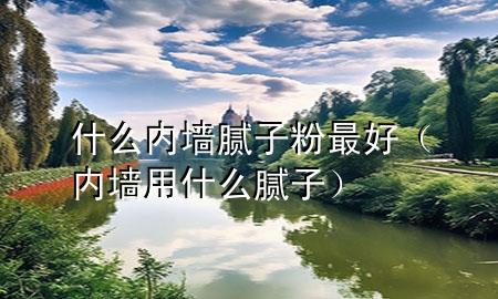什么内墙腻子粉最好（内墙用什么腻子）