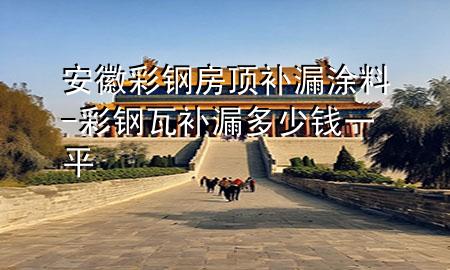 安徽彩钢房顶补漏涂料-彩钢瓦补漏多少钱一平