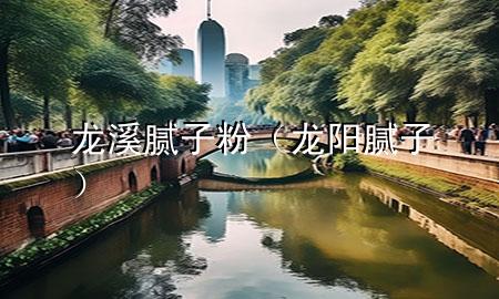 龙溪腻子粉（龙阳腻子）