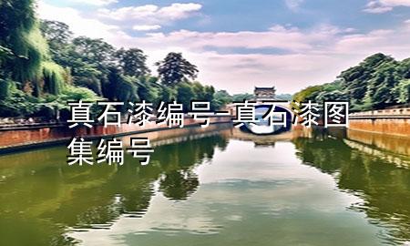 真石漆编号-真石漆图集编号
