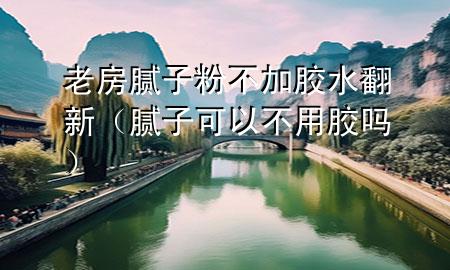 老房腻子粉不加胶水翻新（腻子可以不用胶吗）
